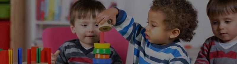 Nursing in the Community banner